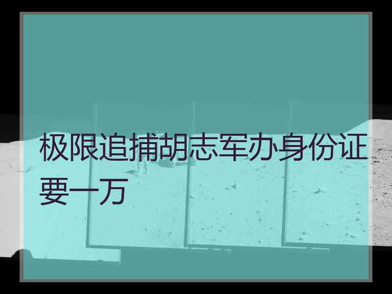 极限追捕胡志军办身份证要一万