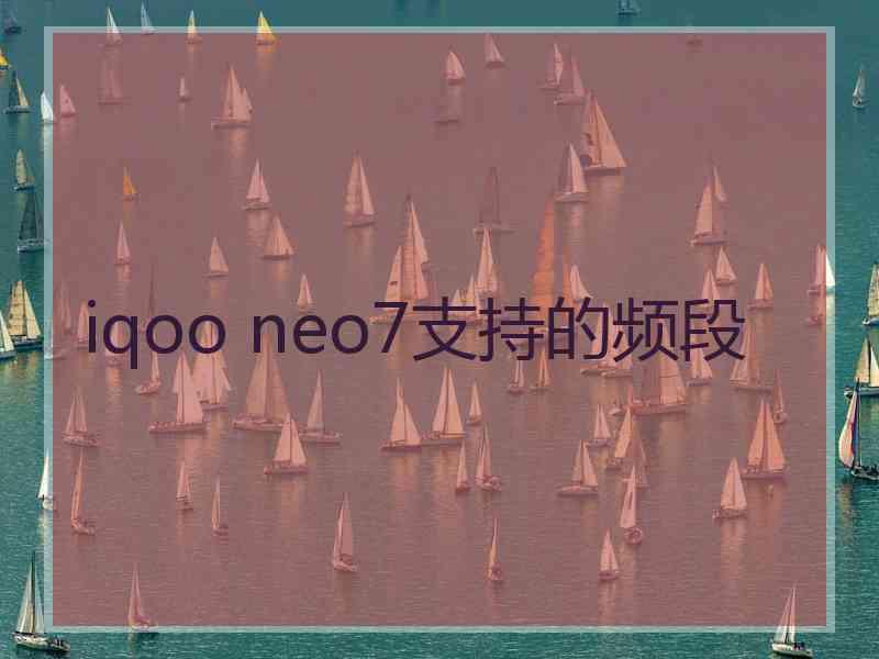 iqoo neo7支持的频段