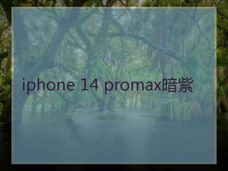 iphone 14 promax暗紫