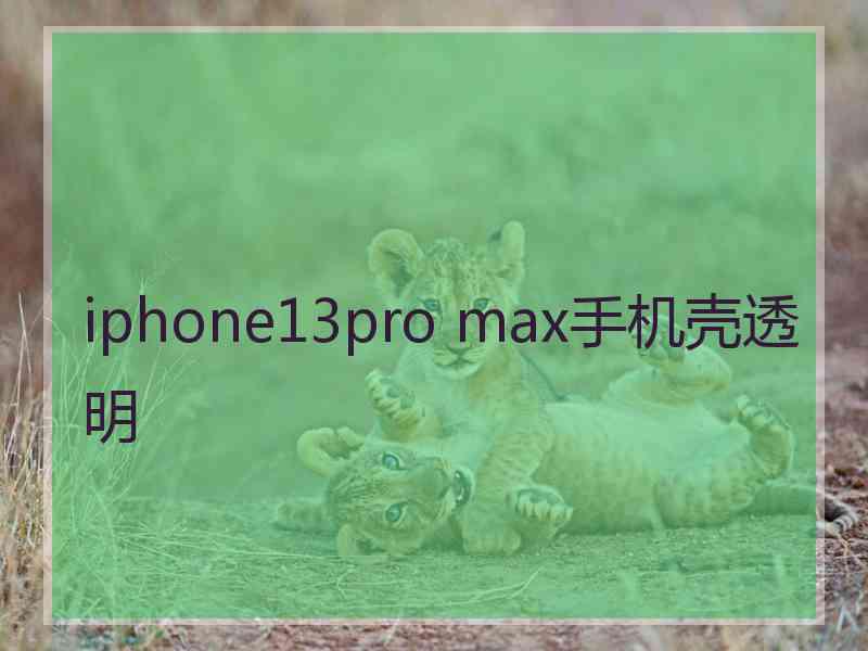 iphone13pro max手机壳透明