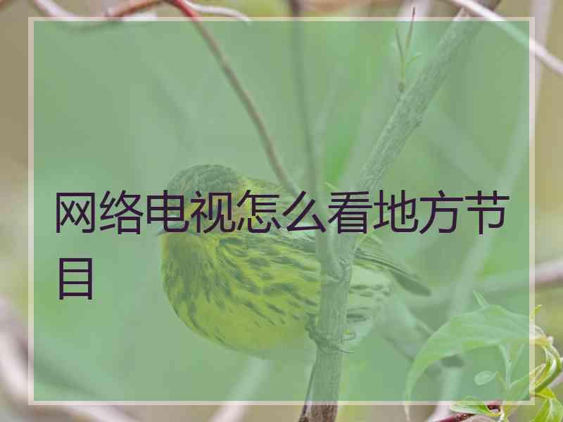 网络电视怎么看地方节目