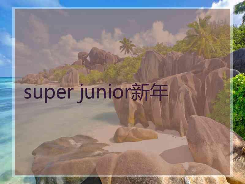 super junior新年