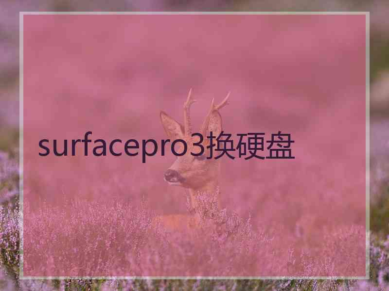 surfacepro3换硬盘