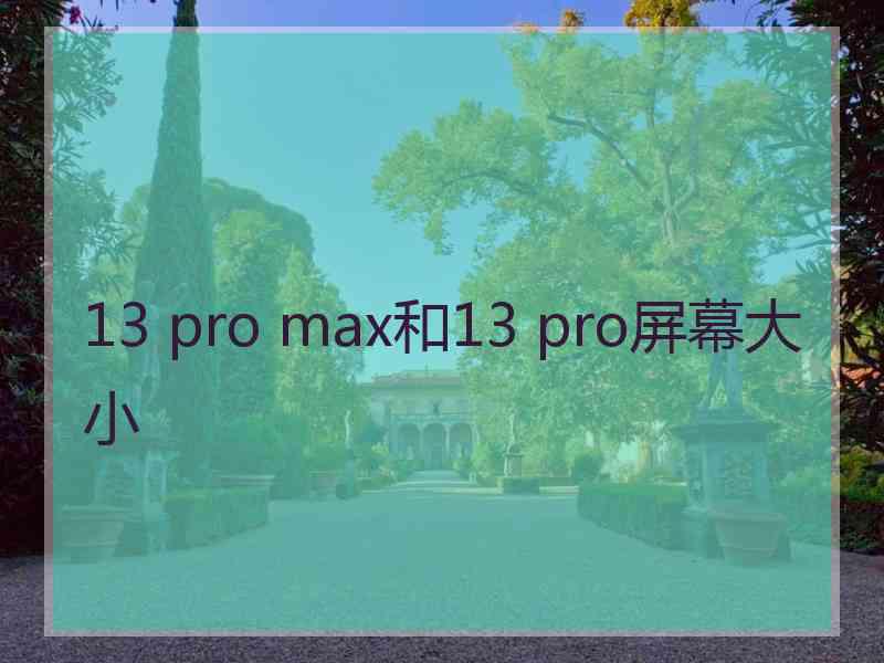 13 pro max和13 pro屏幕大小