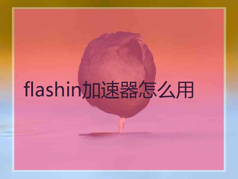 flashin加速器怎么用