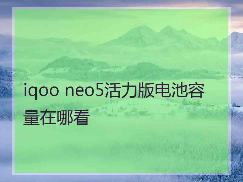 iqoo neo5活力版电池容量在哪看