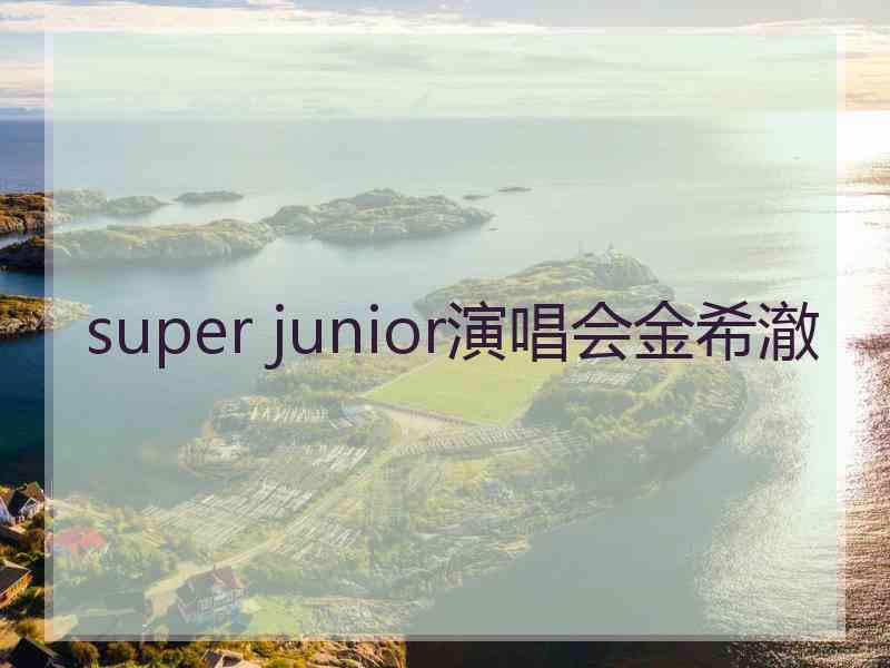 super junior演唱会金希澈