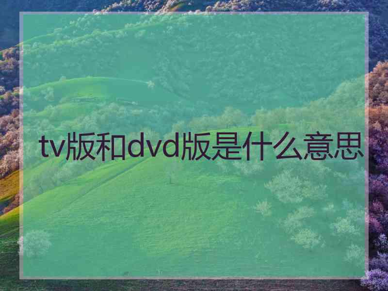 tv版和dvd版是什么意思