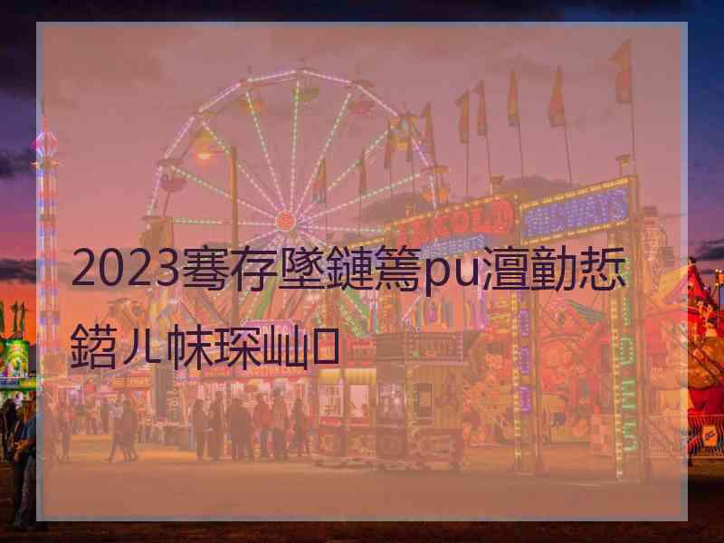 2023骞存墜鏈篶pu澶勭悊鍣ㄦ帓琛屾