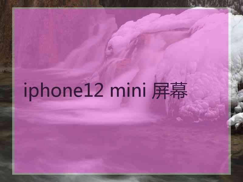 iphone12 mini 屏幕