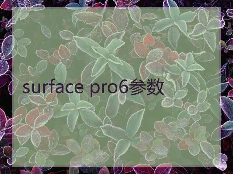 surface pro6参数