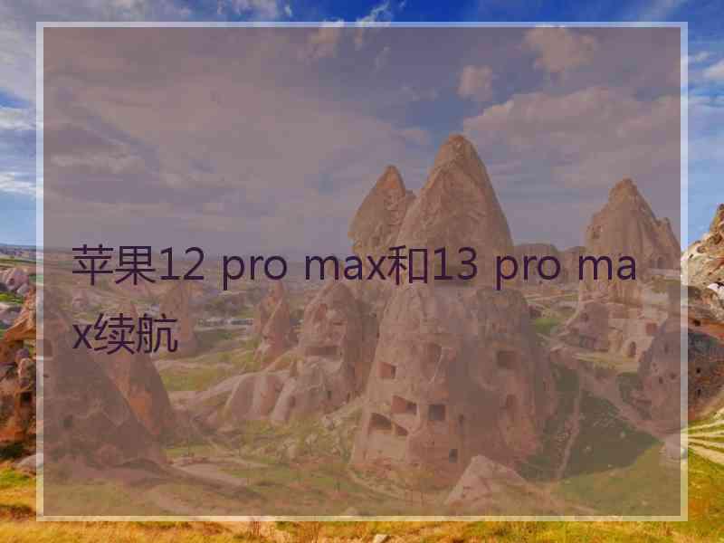 苹果12 pro max和13 pro max续航