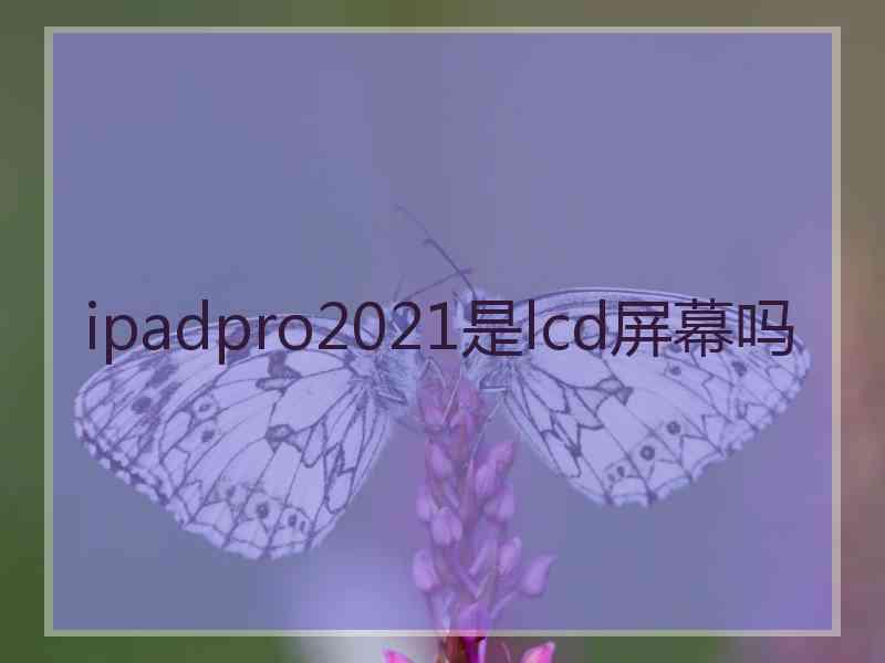 ipadpro2021是lcd屏幕吗