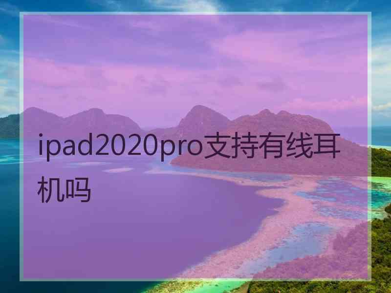 ipad2020pro支持有线耳机吗