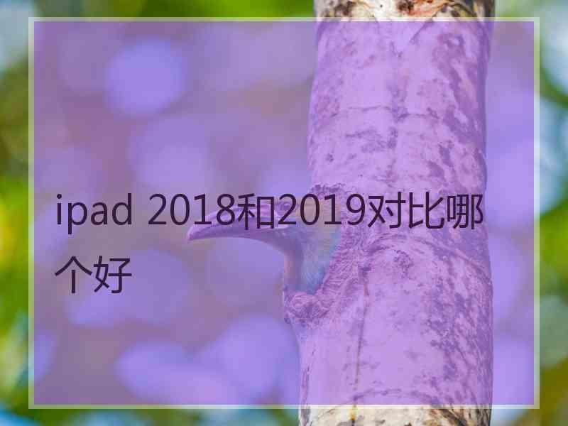 ipad 2018和2019对比哪个好