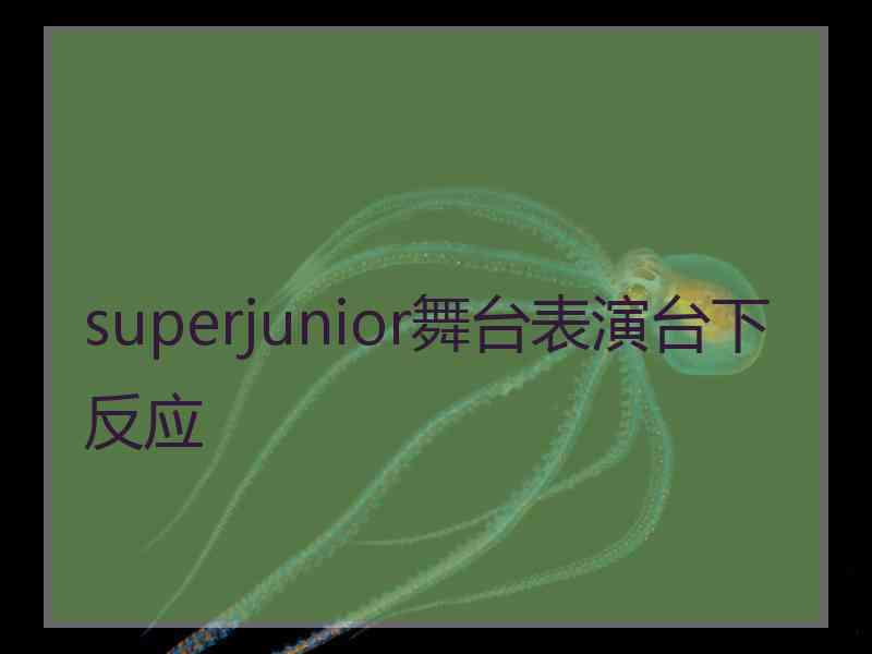 superjunior舞台表演台下反应