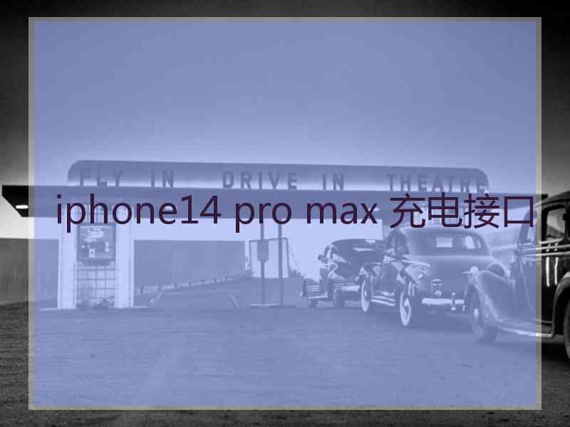 iphone14 pro max 充电接口