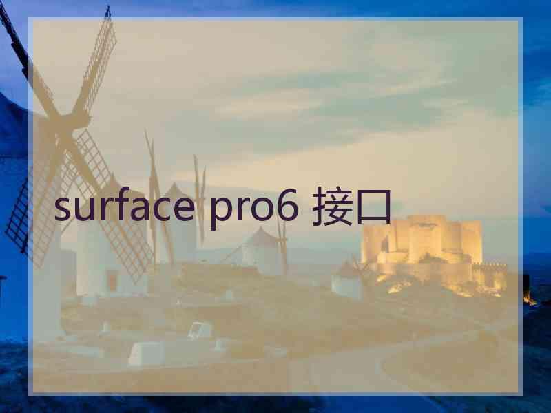 surface pro6 接口