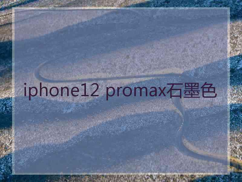 iphone12 promax石墨色