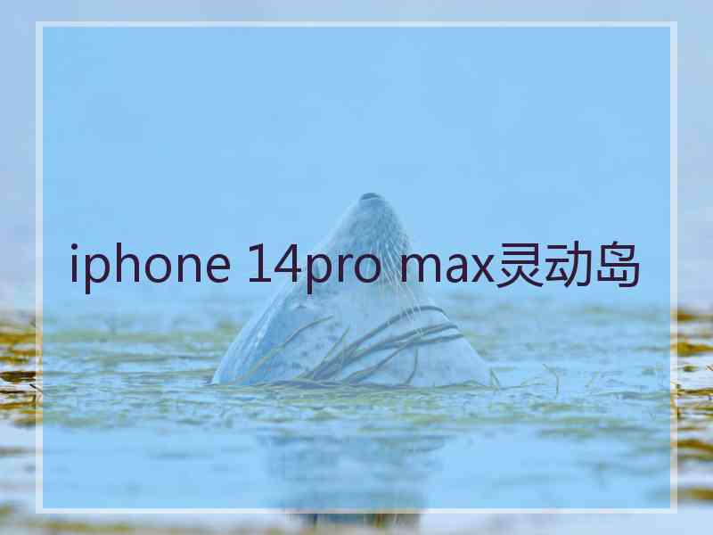 iphone 14pro max灵动岛