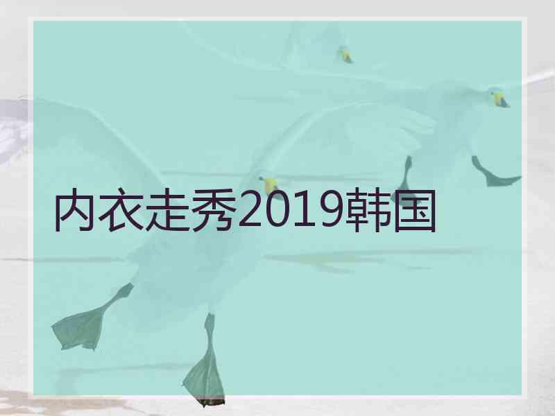 内衣走秀2019韩国