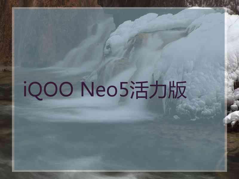 iQOO Neo5活力版