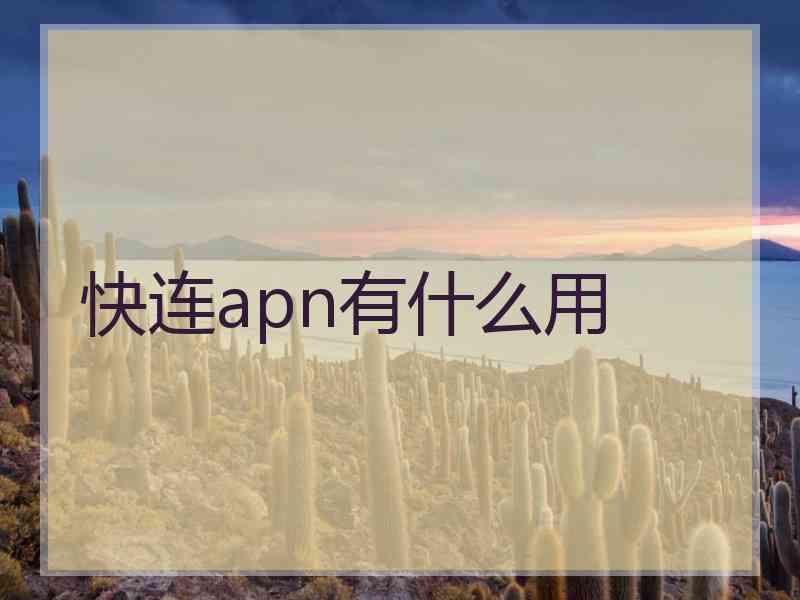 快连apn有什么用