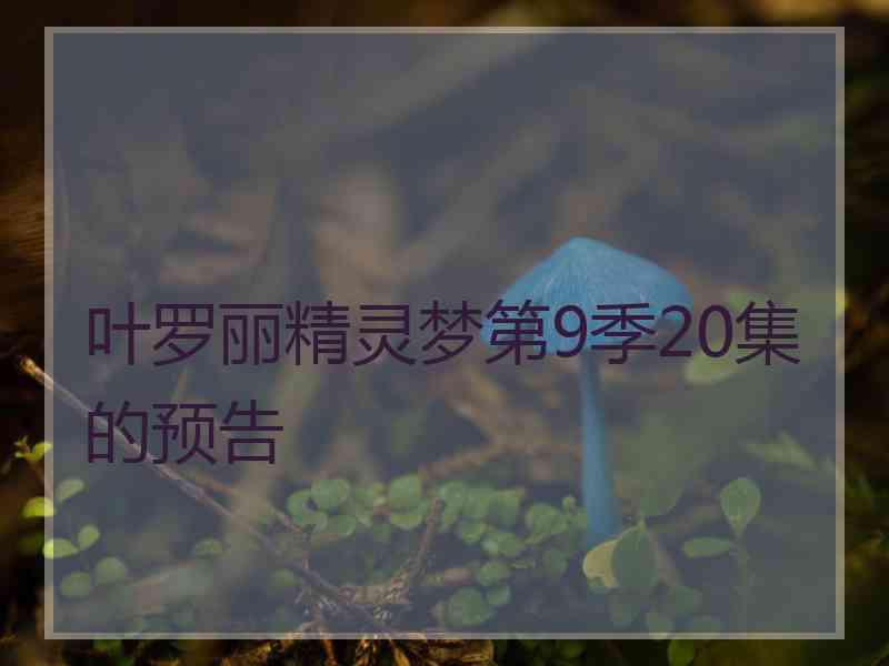 叶罗丽精灵梦第9季20集的预告