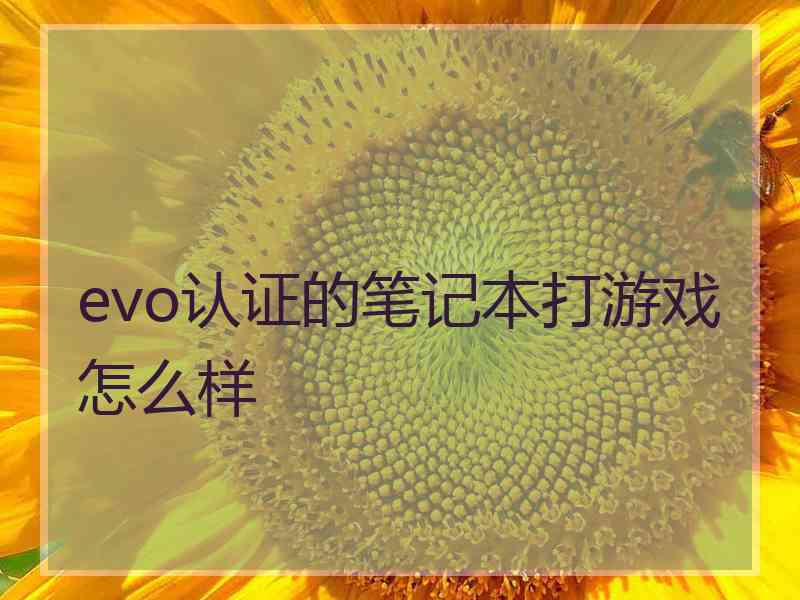 evo认证的笔记本打游戏怎么样