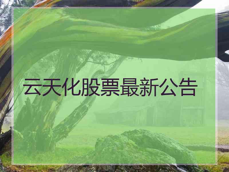 云天化股票最新公告