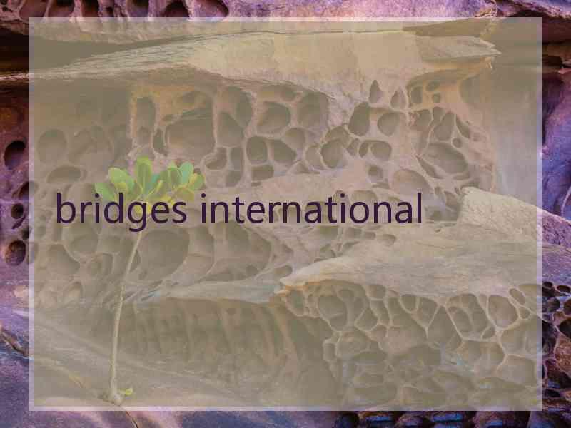 bridges international