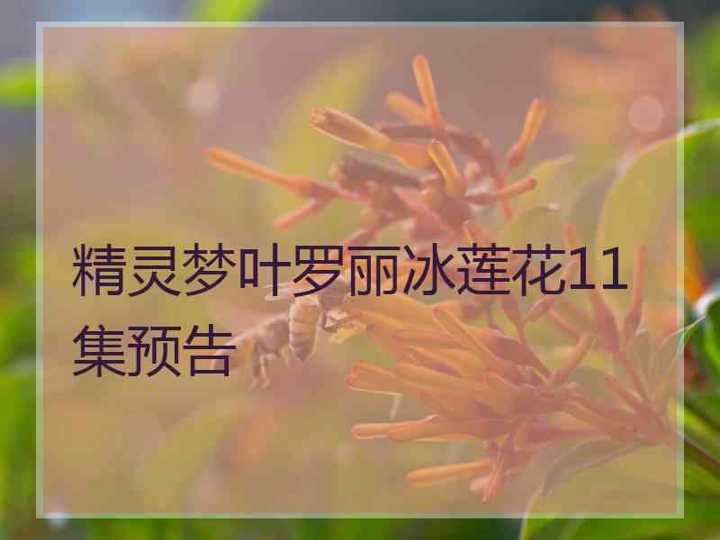 精灵梦叶罗丽冰莲花11集预告