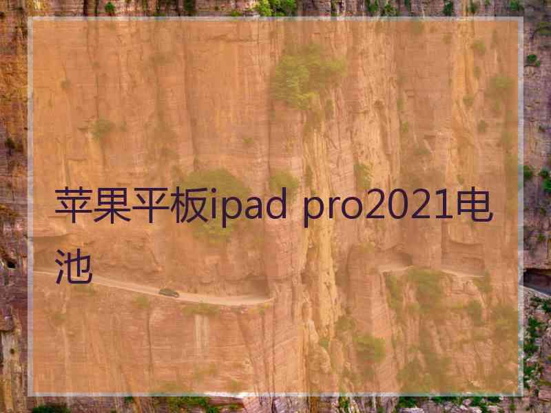 苹果平板ipad pro2021电池