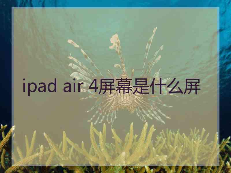 ipad air 4屏幕是什么屏