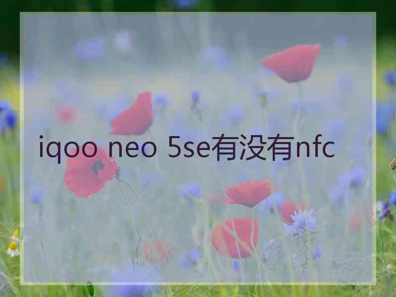 iqoo neo 5se有没有nfc