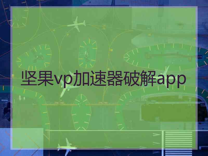 坚果vp加速器破解app