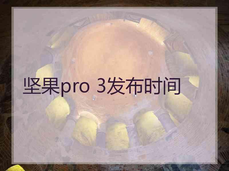 坚果pro 3发布时间