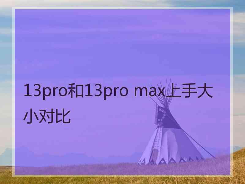 13pro和13pro max上手大小对比