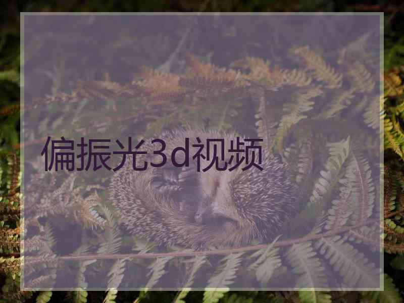 偏振光3d视频