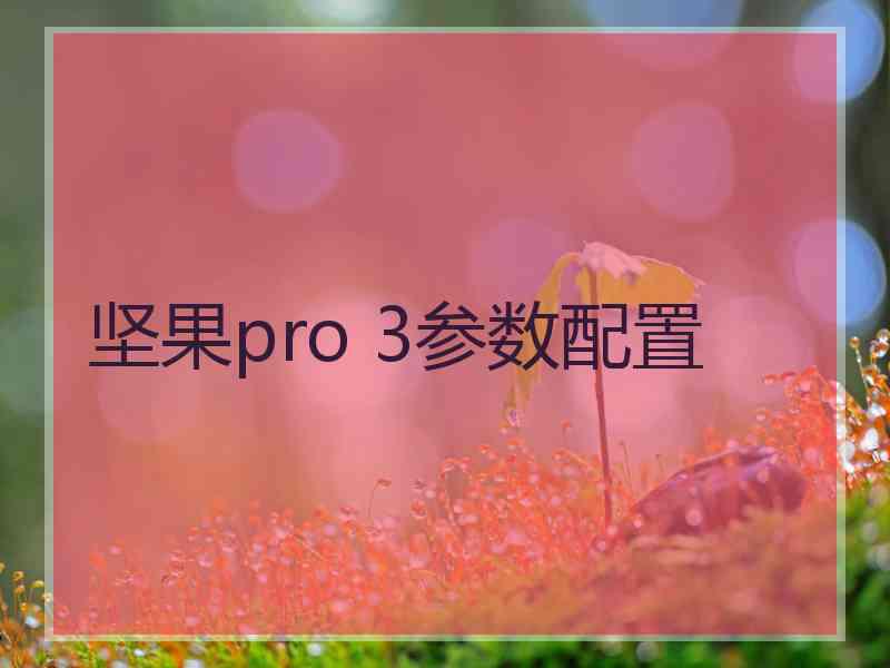 坚果pro 3参数配置