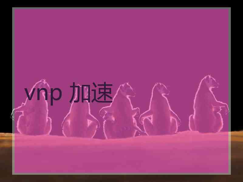 vnp 加速