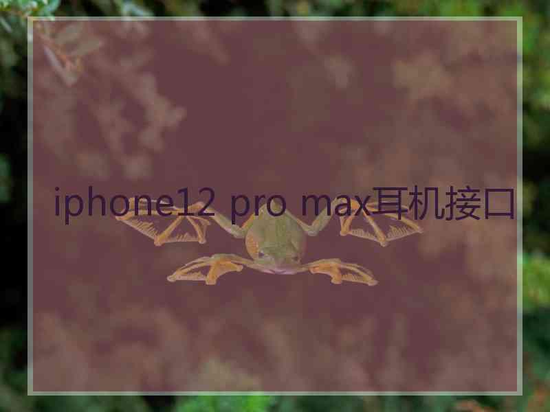 iphone12 pro max耳机接口