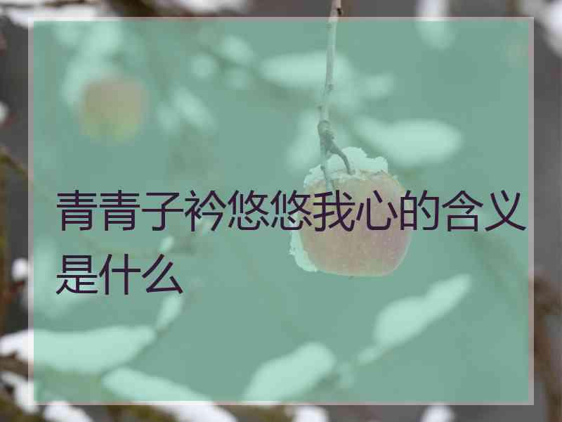 青青子衿悠悠我心的含义是什么