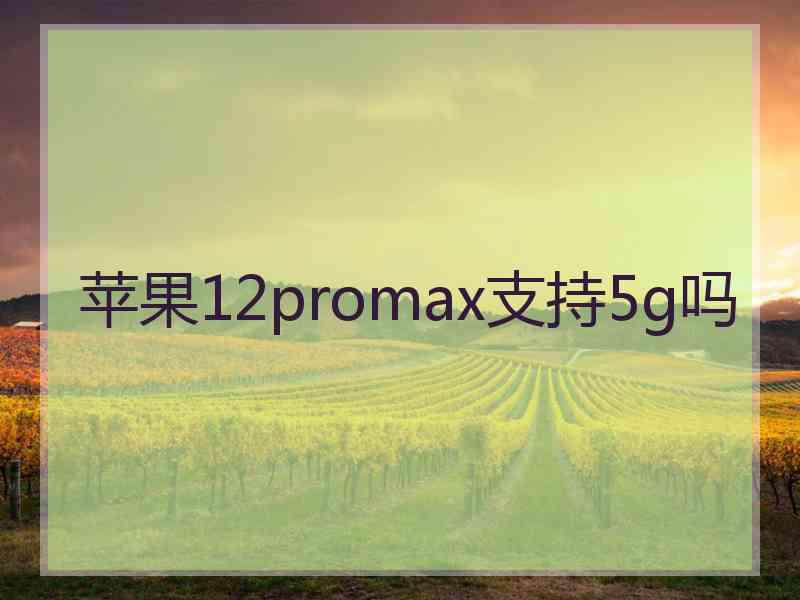 苹果12promax支持5g吗