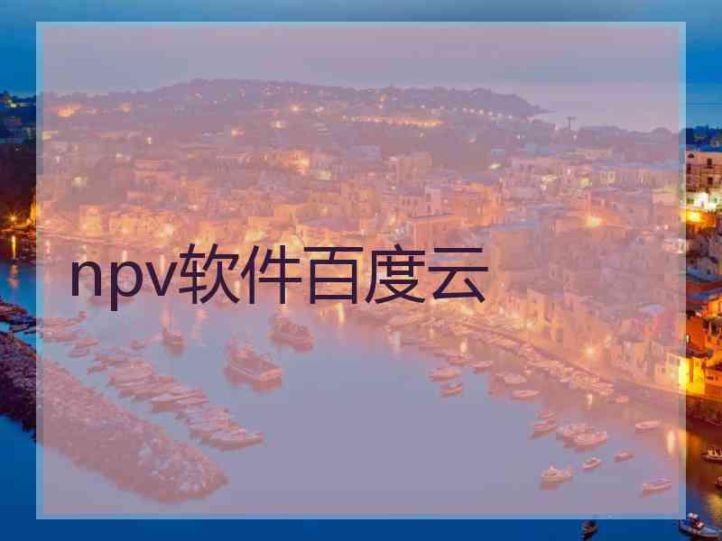 npv软件百度云