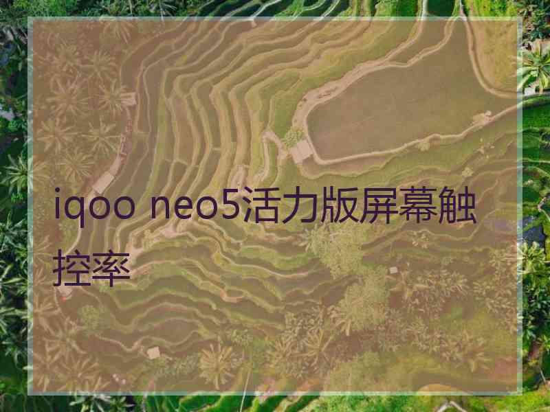 iqoo neo5活力版屏幕触控率