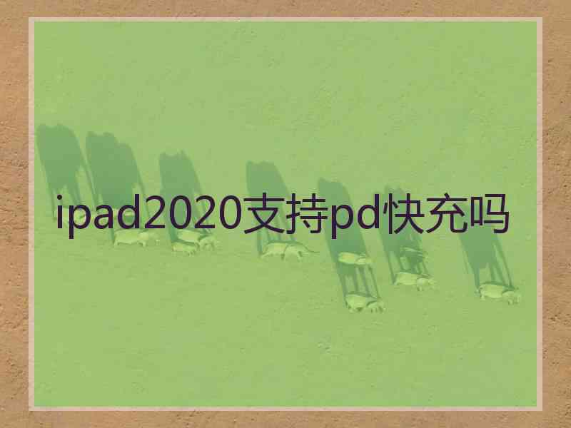 ipad2020支持pd快充吗