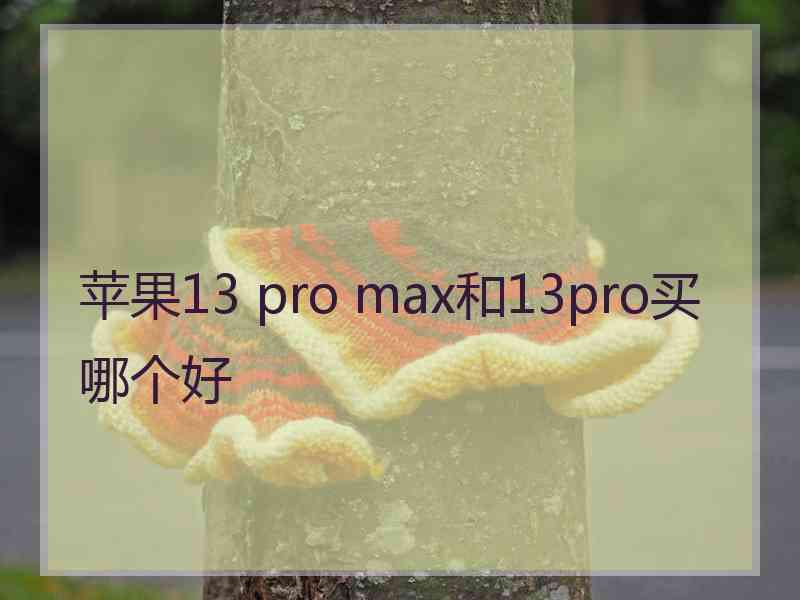 苹果13 pro max和13pro买哪个好