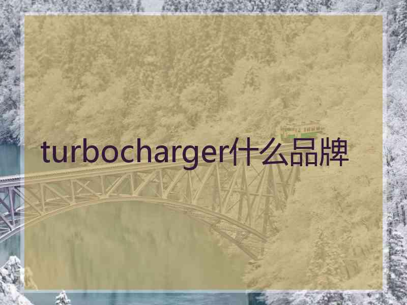 turbocharger什么品牌