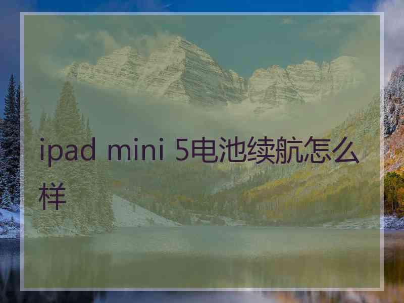 ipad mini 5电池续航怎么样